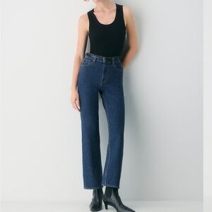 Aritzia Denim Forum Arlo Hi-Straight Jeans